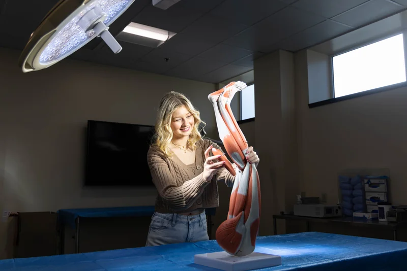 A student examines a detailed anatomical model of a human leg in a classroom setting.