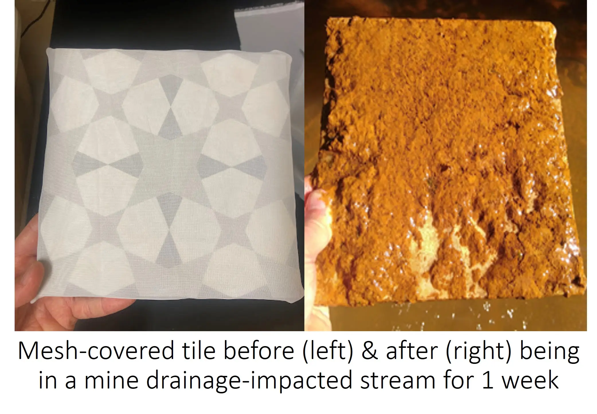 Mesh-covered tile before and after exposure to a mine drainage-impacted stream for one week.