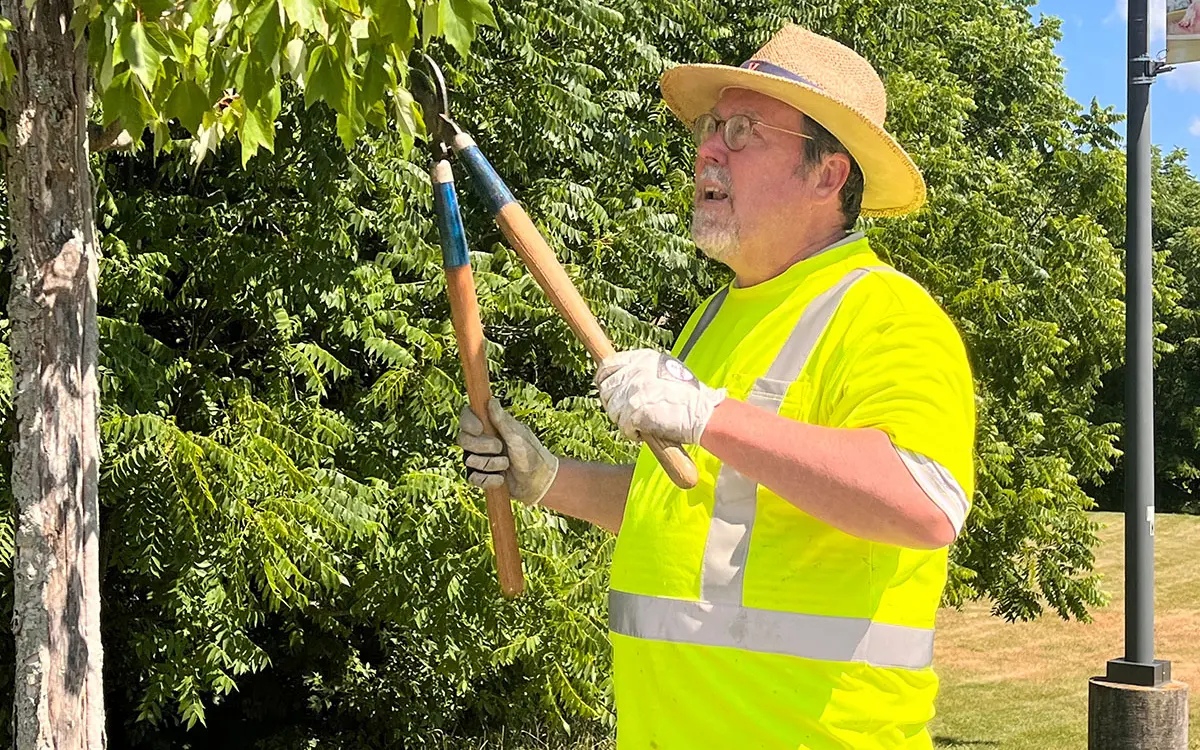 A man in a bright yellow safety shirt and straw hat uses pruning shears to trim a tree.