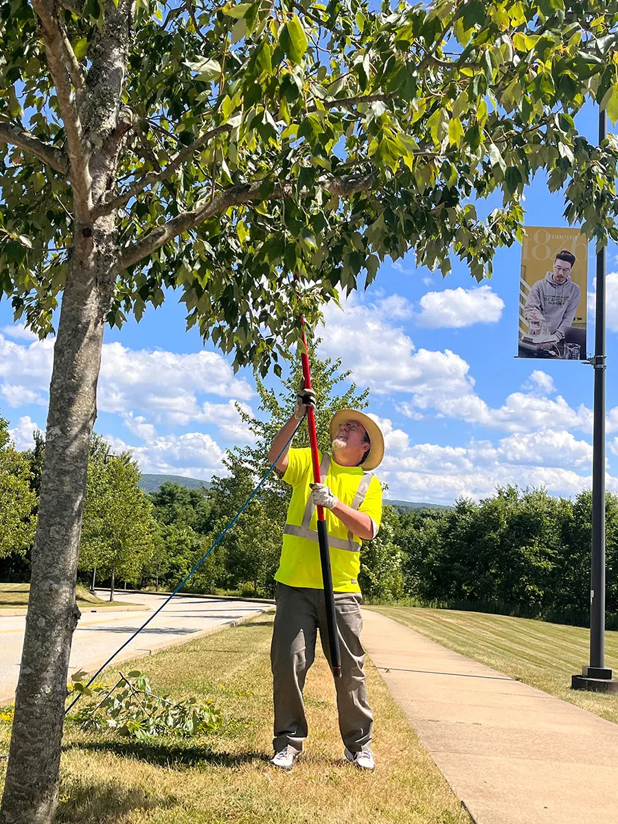 A person in a high-visibility vest uses long pruning shears to trim a tree on a sunny day.