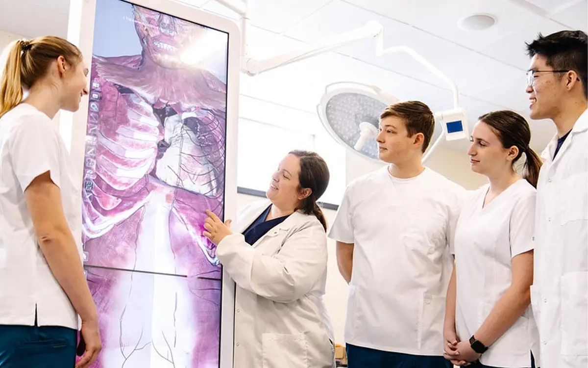 Medical professionals analyzing a digital anatomical display during a training session.